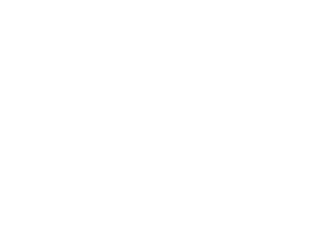 ALT Company logo